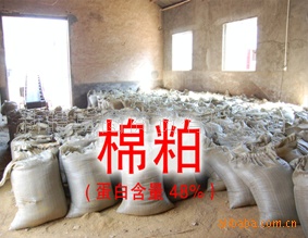 供应批发棉粕、新疆棉粕、菜粕 信誉交易
