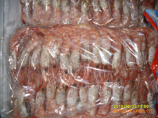 冻虾   海虾   红虾