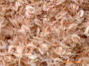 淡干优质熟红虾皮